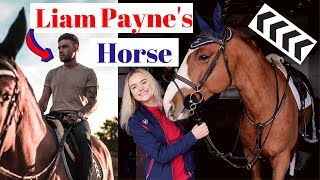 Liam Paynes New Horse featuring Yazmin Pinchen | This Esme