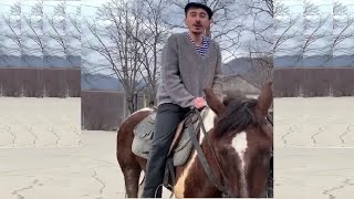 Серго на Коне | Каха и Серго | Подборка вайнов | Непосредственно Прикол