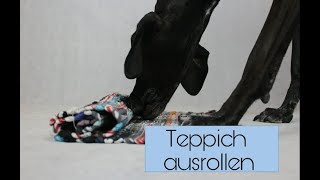 Hundetrick -Teppich ausrollen l Trickanleitung l Dogtrick-Tutorial