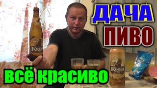 Пью ПИВО "Velkopopovicky Kozel" на ДАЧЕ с утреца...
