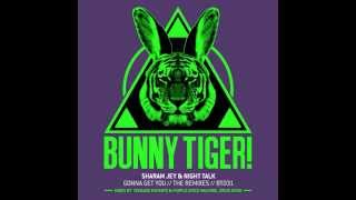 Sharam Jey & Night Talk - Gonna Get You (Sirus Hood Remix) - BT031