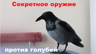 Секретное оружие против голубей