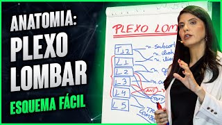 ANATOMIA: PLEXO LOMBAR (esquema fácil)  | Dra Walkyria Fernandes