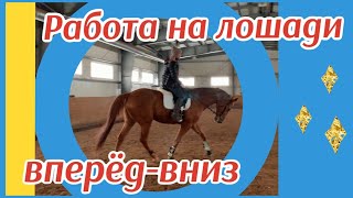 РАБОТА НА ЛОШАДИ ВПЕРЁД-ВНИЗ