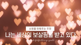 소원을 이루어주는 주문 / 자기 암시 / 아침 저녁 확언 / 잠재의식