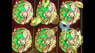 ★TIGER POWER ! BIG WIN☆5 TREASURES Slot machine★Free Play Live play $2.64 & $5.28 Bet kurislot 栗スロ☆彡