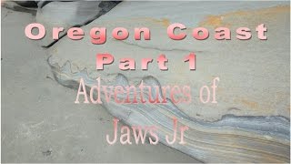 Oregon Coast Part 1