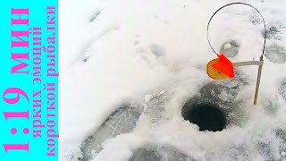 1 мин 19 сек ярких эмоций короткой рыбалки.