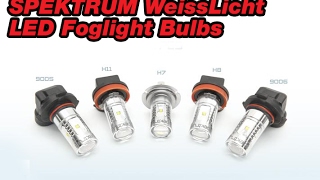 WHAT YOU NEED TO KNOW ABOUT LED Head FOG LIGHT BULB INFO!  Bimmian Stealthauto.com
