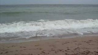 Plaja din Vama Veche