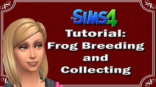 The Sims 4: Tutorial: Frog Breeding and Collecting