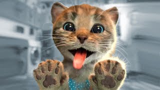ПРИКЛЮЧЕНИЕ МАЛЕНЬКОГО КОТЕНКА / Мультяшная игра для детей #ПУРУМЧАТА