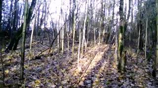 Клад третьего рейха (1) часть