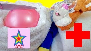 МЕДИЦИНСКАЯ ОПЕРАЦИЯ  РЕЖЕМ ЖИВОТ КРОЛИКУ KISA ALISA MEDICAL OPERATION CUT THE BELLY OF THE RABBIT