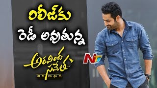 Jr NTR Aravinda Sametha Movie Getting Ready to Release | BOX OFFICE | NTV