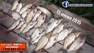 Сазан Рыбалка лиман Горький (15 июня)