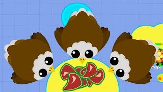 Как играть ОРЛОМ и КИТОМ в МОПИО. Быстрая прокачка в Mope.io