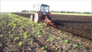 MTZ-892.2 + Vogel&Noot Farmer S-950 Szántás - ABONYI CSAVARGÓK
