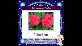 ต้นไม้มงคลประจำวันเกิด - วันอังคาร