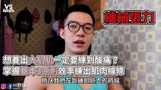 想養出大肌肌一定要練到酸痛？掌握基本3原則效率練出肌肉線條《VS MEDIA》
