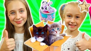 Нашли ТАЙНЫЕ КОРОБОЧКИ С СЮРПРИЗАМИ Littlest Pet Shop Food Fest петы в консервных баночках от Hasbro