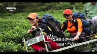 [KTV 신한국기행-1회] 땅, 바다를 만나 산이 되다 - 신낙남정맥