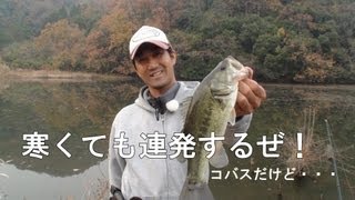 寒くても連発　コバスだけど...　真冬野池　みんなのバス釣りネット