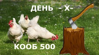 ЗАБОЙ КУР | Кооб 500