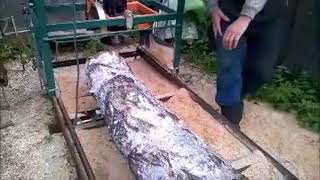 домашняя пилорама