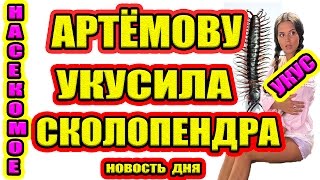 Дом 2 НОВОСТИ - Эфир 30.01.2017 (30 января 2017)