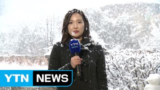 [날씨] 예고 안된 함박눈...곳곳 대설 주의보 / YTN