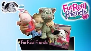 Фуриал Френдс собака FurReal Friends dog ,щенок далматинец, обзор распаковка игрушки, open toys
