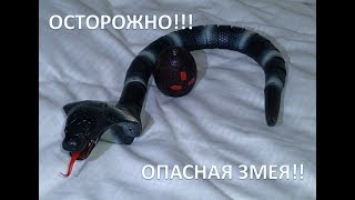 Змея на пульте управления. Классная игрушка для взрослых и детей/AliExpress