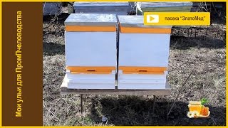 Выпуск №15. Мои ульи для промышленного пчеловодства