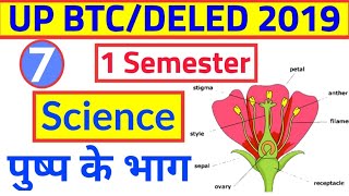up deled Science first semester || UP BTC ONLINE FORM Admission/up deled 2019 || by HiFi Study