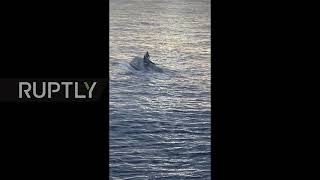 USA: Rescue teams look for 39 missing people after boat capsizes off Florida coast *STILLS*