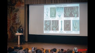 "Эволюция человека: мифы и реальность" - Станислав Дробышевский