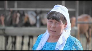 Коммерциялық құпия. Жылқы баптауды қолға алған кәсіпкер әйел