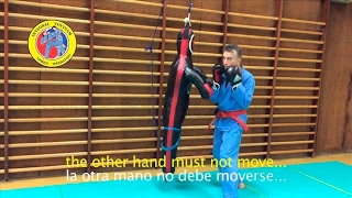 Integral Vovinam Tutorial 38