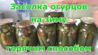 Засолка огурцов на зиму горячим способом двойной заливки без стерилизации