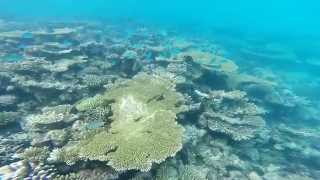 Meeru Island Resort & Spa August 2015 (GoPro Hero 3+ Black)