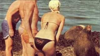 Agnetha Fältskog  ABBA VIXEN