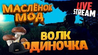 ВЫЖИВАНИЕ В DAYZ 1.0 ОБНОВА НА МАСЛЕНОК МОД!