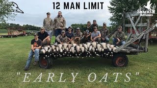 12 Man Limit "Early Oats" Goose Hunting