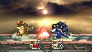 Re: SSBB Bowser vs Dark Bowser
