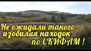 Не ожидали такого изобилия находок по Скифам! КОП 2019