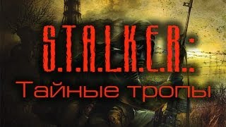 S.T.A.L.K.E.R.: Тайные тропы #13 Сердца и пауки