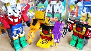 Amazon公式の妄想合体を完全再現してみた！DXジュウオウキューブ123456!! 動物大合体 超豪華DXワイルドジュウオウキングセット ジュウオウジャー