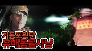 윽박::인간과 동물의 생존 그 사이 1# - 유해조수사냥 [사냥장면주의] (eugbak Hunting animals)