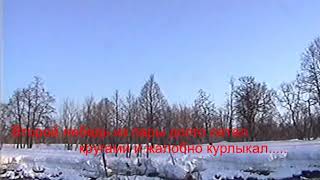 Камчатка. Тёплая, незамерзающая речка, там зимуют лебеди. Браконьеры подкрались и подстрелили лебедя